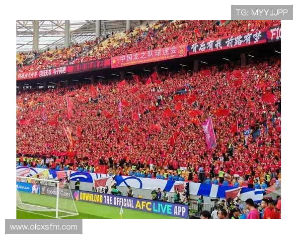 激情燃烧的世界杯现场氛围点燃全球球迷狂欢之夜共同见证荣耀与梦想绽放 - 副本 - 副本 (2) - 副本