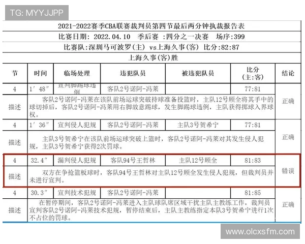 裁判报告深入解析与判罚背后的逻辑及影响因素探讨