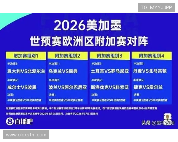 世界杯扩军规则深度解读与赛制变革对全球足球格局影响与未来发展