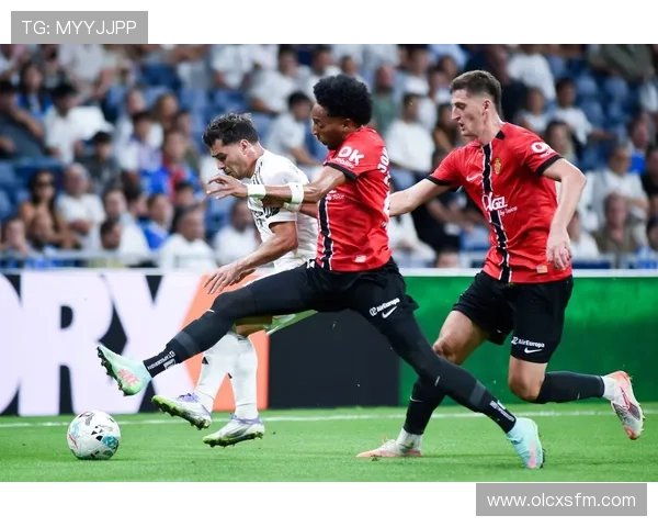 西甲赛事平台入口全方位解析让你轻松畅享足球盛宴